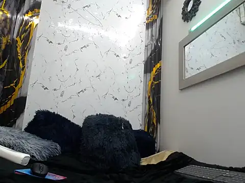 isa_x18 webcam