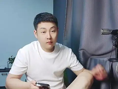 Llpl322 webcam