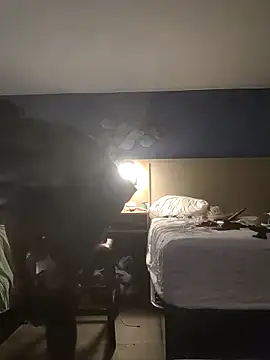 Dicksee_Left webcam