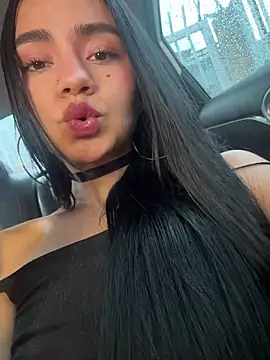 Dakota-fire webcam