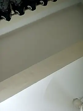 Lema-01 webcam