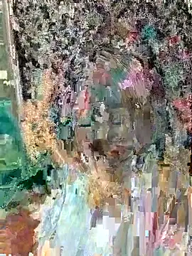 YOU_JOY webcam
