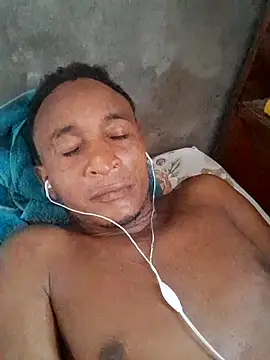 finebone webcam