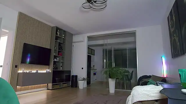UbbeViking webcam