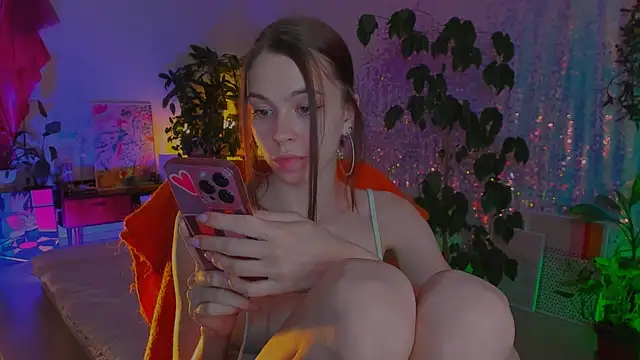 poli__ webcam