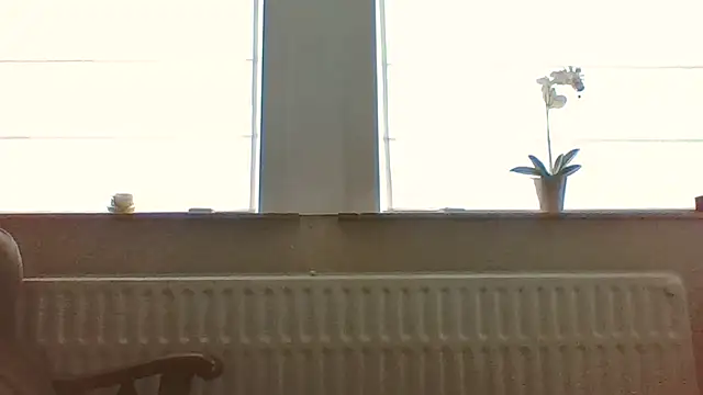 bertolini webcam