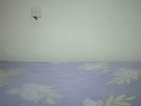 raven_001 webcam