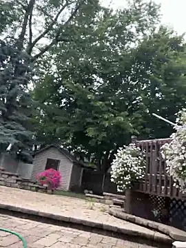 LittleMissEeve