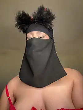 arabayla webcam