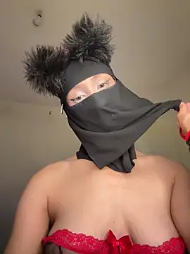 arabayla webcam