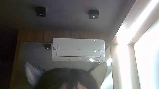 SkinnyKitten webcam