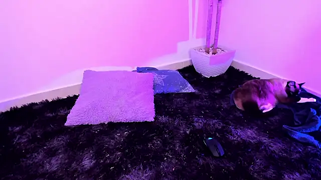 Varya_Ferreira live sex cam
