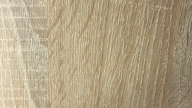 NoFace_Model webcam