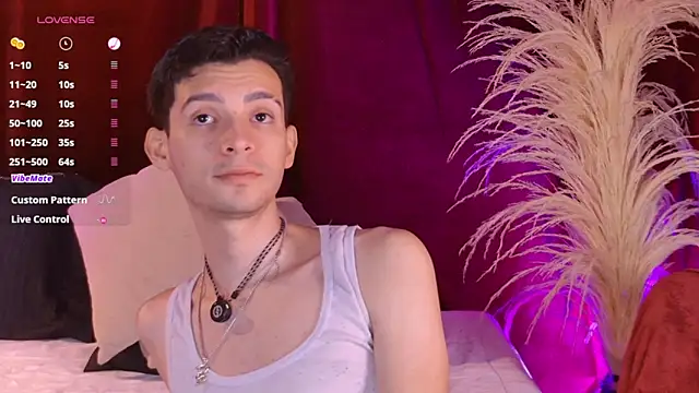 VicenteFerrer webcam