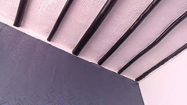 Freyja_eter webcam