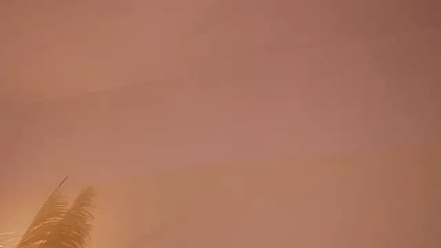 soidai_miiu webcam