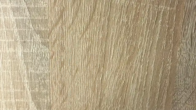 NoFace_Model webcam