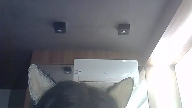 SkinnyKitten webcam