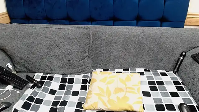 AriesCake webcam