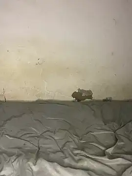 Jaydemasked webcam
