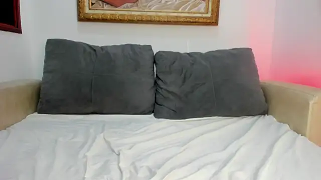 Sunny_OS webcam