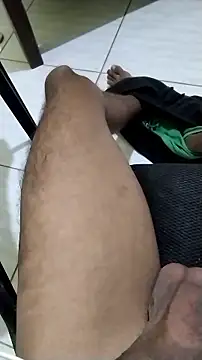 Novinhoie webcam