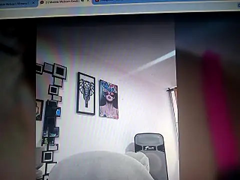 Reimoncan webcam