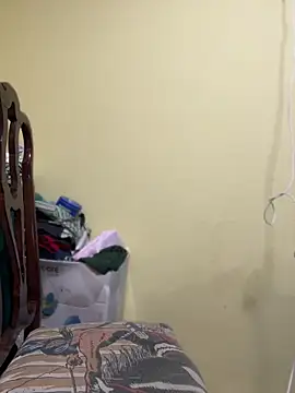 brizzmotion webcam