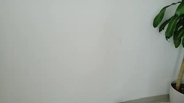 velvetchubby webcam