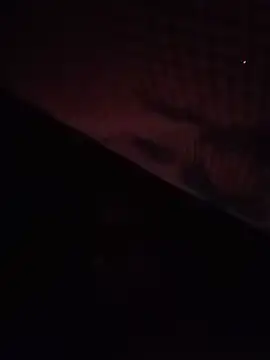 pussysandwitchboy webcam