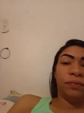 Anapaulk webcam