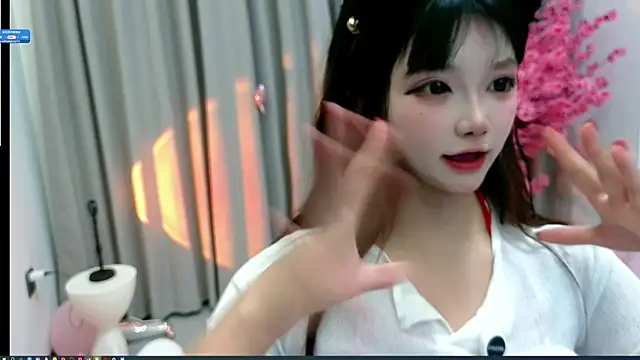 yan-0705 webcam