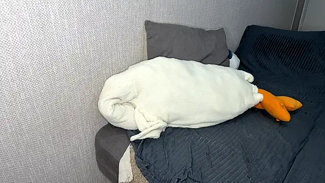 NewGenAlt webcam