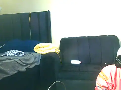 Milamelanie webcam