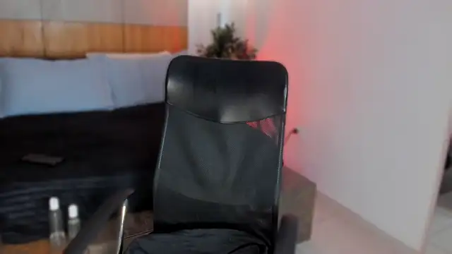 LevinFox webcam