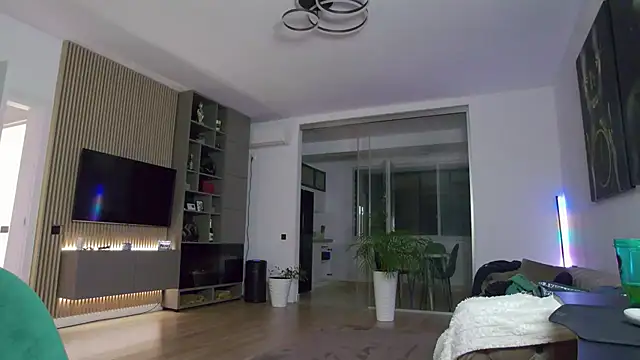 UbbeViking webcam