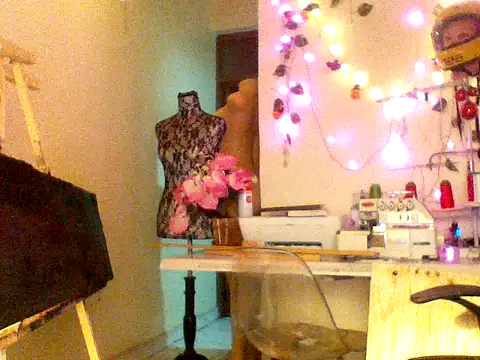 Anaconda2350 webcam