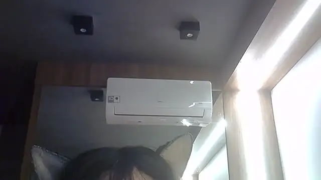 SkinnyKitten webcam