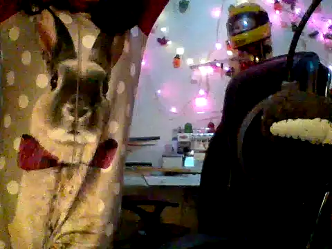 Anaconda2350 webcam