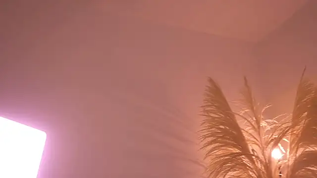 soidai_miiu live cam preview on Stripchat