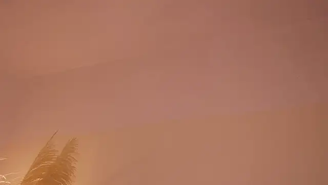 soidai_miiu (F young) - suck hard dildo kitten 👿😈