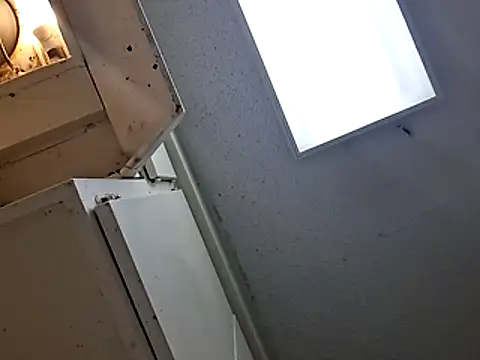 247Srokin webcam