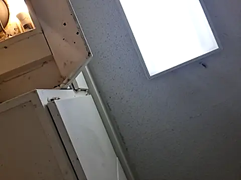 247Srokin webcam