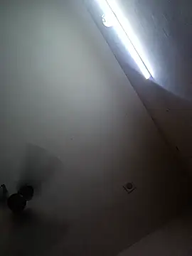 Meloni_71 webcam
