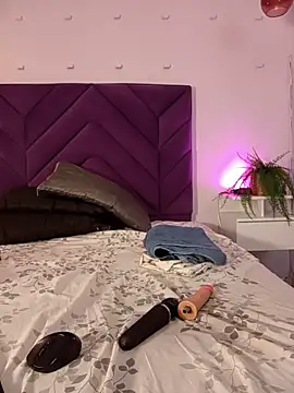 haileystone webcam