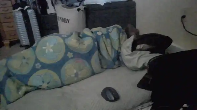 TWiSTYTheTwizted webcam