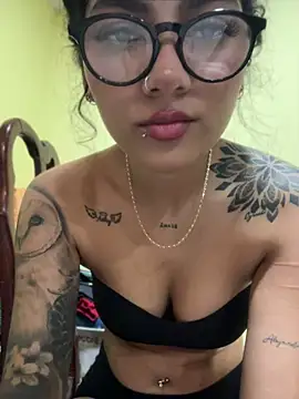 brizzmotion webcam