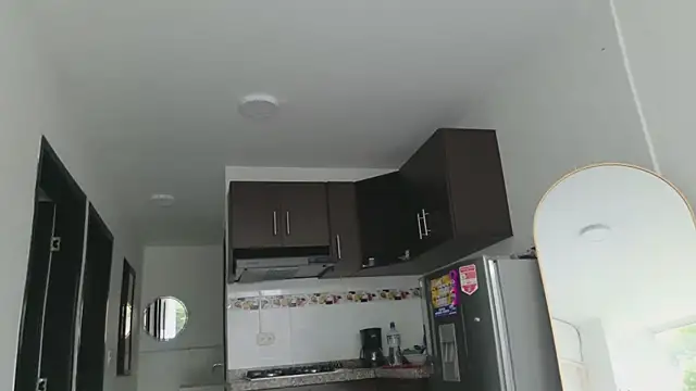 grey___27 webcam