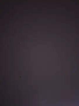 Sanicrt webcam