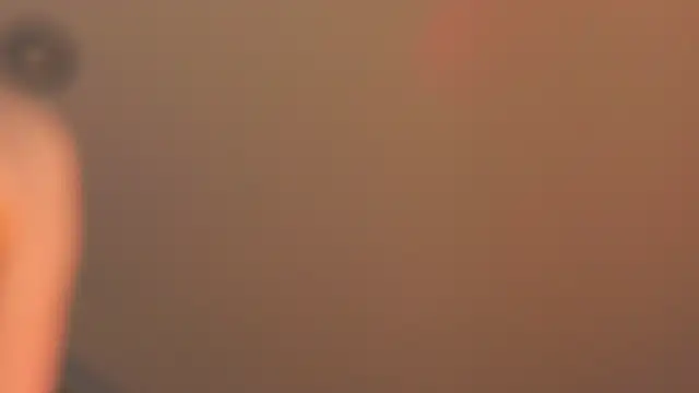 sinteas webcam